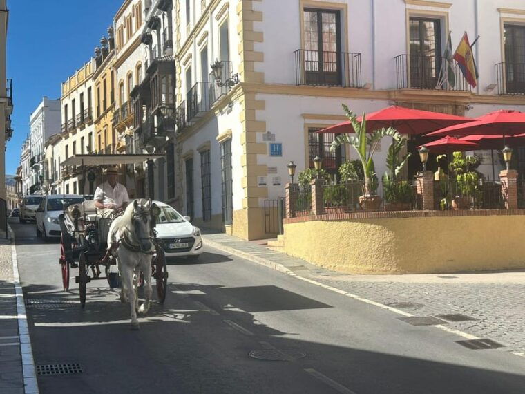 From Mijas: Private VIP Tour of Ronda and Setenil De Las Bodegas - Transportation and Accessibility