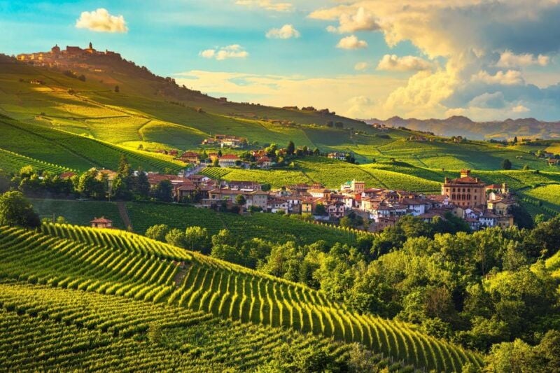 From Milan: Barolo Wine Tasting, Alba Tour and Castle Visit - Good To Know