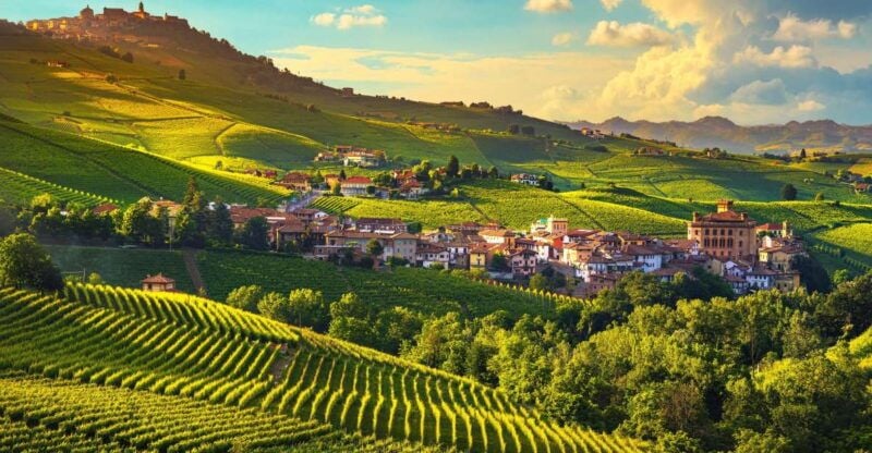 From Milan: Barolo Wine Tasting, Alba Tour and Castle Visit - What’s Not Included and Tips