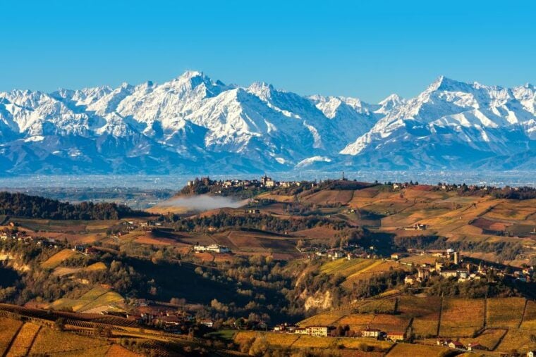From Milan: Barolo Wine Tasting, Alba Tour and Castle Visit - Final Thoughts
