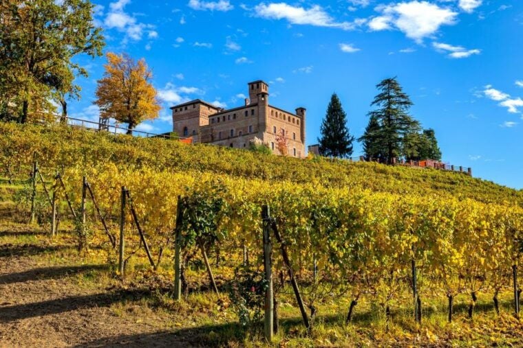 From Milan: Barolo Wine Tasting, Alba Tour and Castle Visit - FAQ