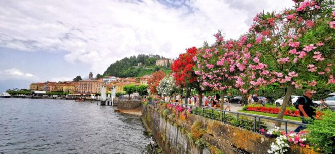 From Milan: Bellagio, Varenna, and Bellano Gorge Day Trip - Customer Reviews and Feedback