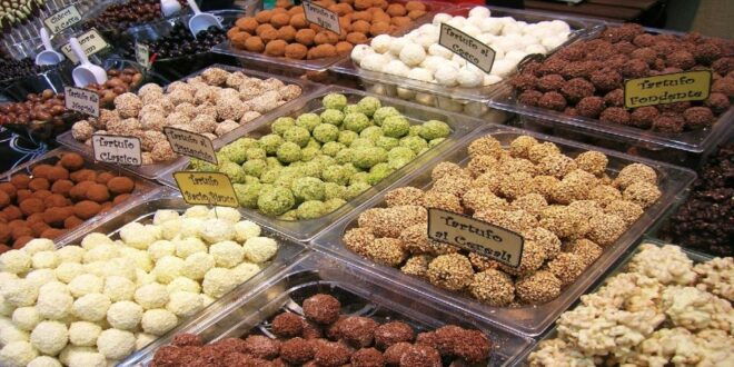 From Milan: Bologna the Capital of Italian Food Tour - Important Information for Participants