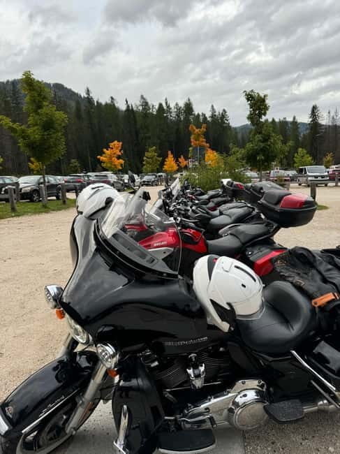 From Milan: Harley Davidson motorcycle tour in 5 countries unique experience! - The Sum Up