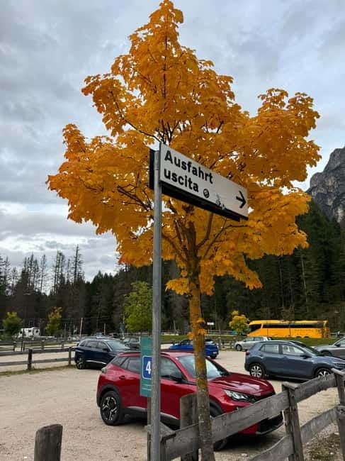 From Milan: Harley Davidson motorcycle tour in 5 countries unique experience! - Accommodation and Inclusions