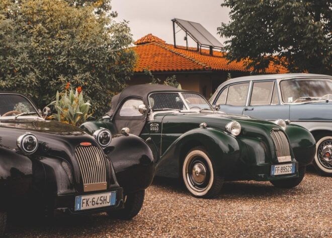 From Milan: Lago Maggiore Tour Driving a Classic Car - Inclusions