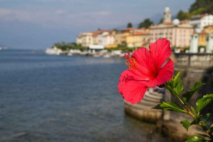 From Milan: Lake Como and Bellagio Day Trip - Booking Details