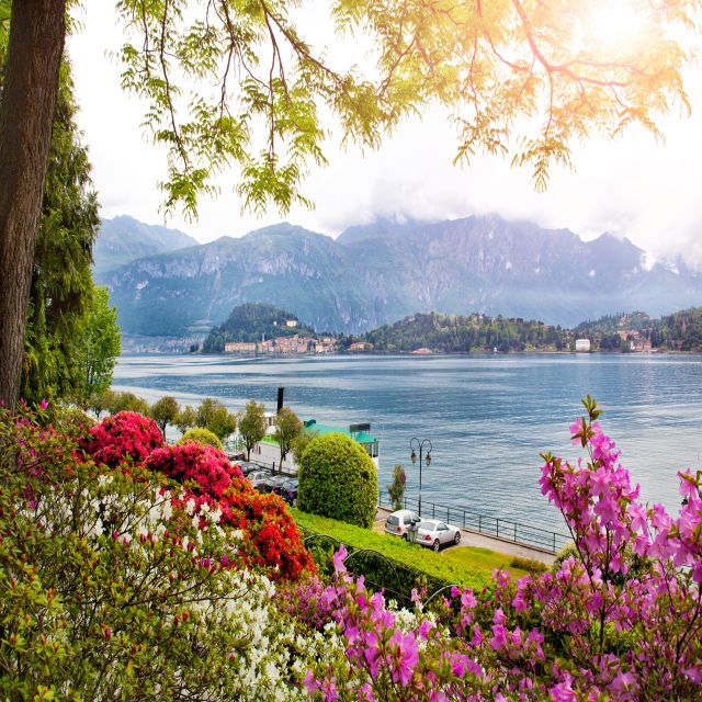 From Milan: Lake Como & Bellagio Private Guided Day Tour - Itinerary Highlights