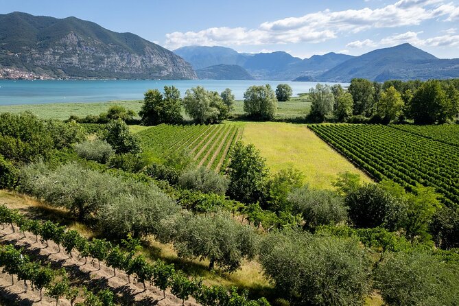From Milan: Lake Iseo, Bergamo & Franciacorta Wine Tour - Frequently Asked Questions