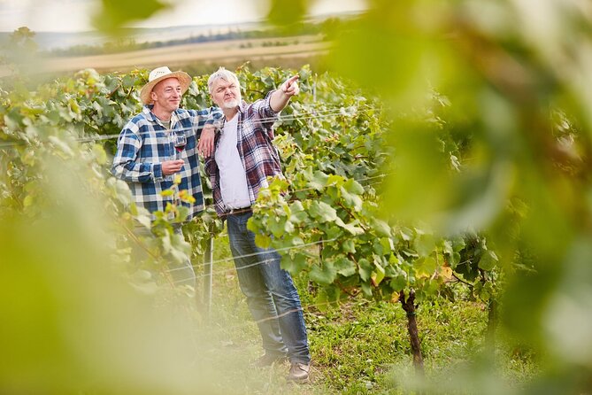 From Milan: Lake Iseo, Bergamo & Franciacorta Wine Tour - The Sum Up