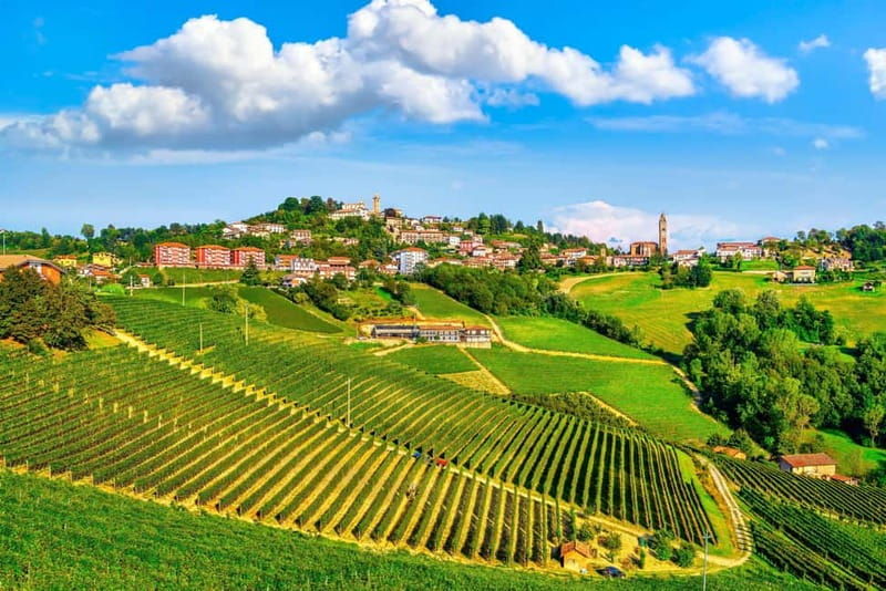 From Milan: Langhe Wine Region Day Trip with Barolo Tasting - Good To Know