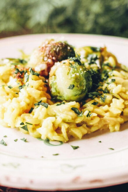 From Milan: Pavia & Oltrepò Pavese Private Day Trip W/ Lunch - Highlights and Experiences