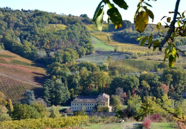 From Milan: Pavia & Oltrepò Pavese Private Day Trip W/ Lunch - Frequently Asked Questions