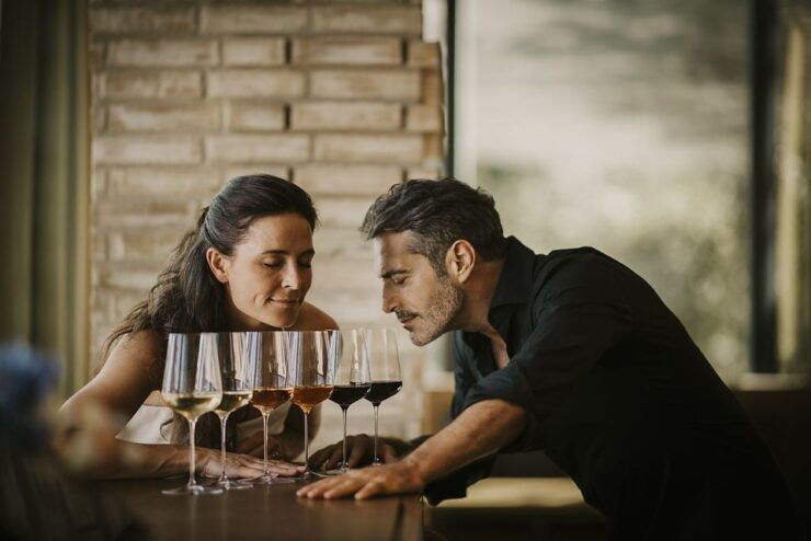 From Milan: Piemonte Private Wine Tour With a Private Driver - Tour Details