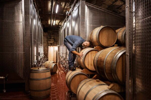 From Milan: Piemonte Private Wine Tour With a Private Driver - Directions