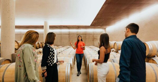 From Milan: Piemonte Private Wine Tour With a Private Driver - The Sum Up