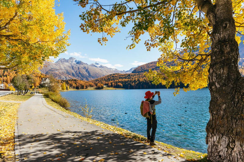 From Milan: St. Moritz and Panoramic Bernina Express Tour - Itinerary Highlights