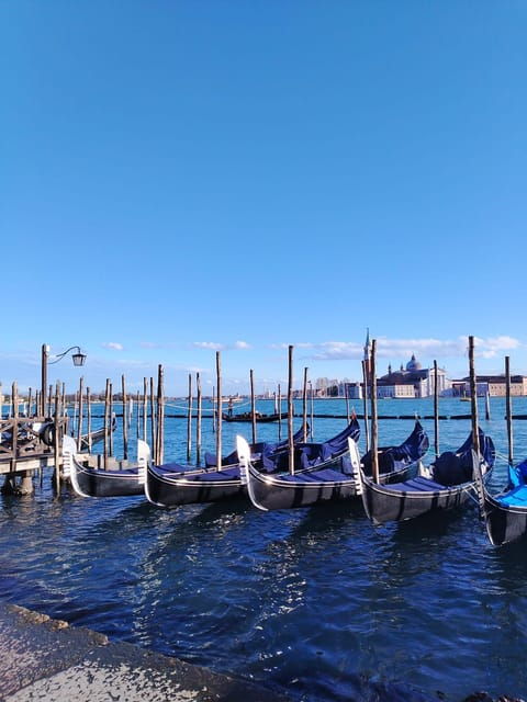 From Milan: Venice City Highlights Guided Day Trip - Detailed Breakdown of Itinerary and Highlights
