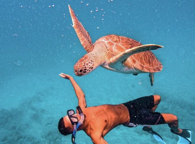 From Mindelo: São Vicentes Enchanting Sea Turtle Snorkeling - Location Information