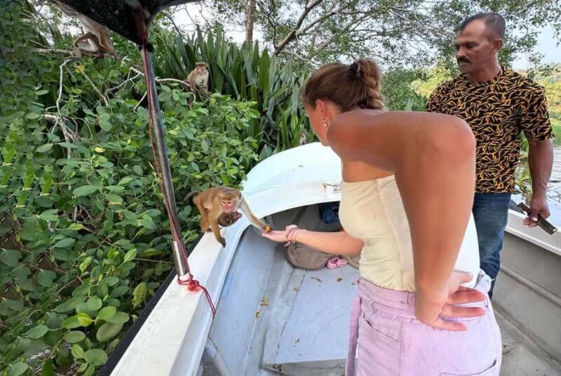 From Mirissa: Crocodile Watching River Boat Safari - Good To Know