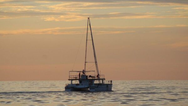 From Mirissa: Private Whale Watching Tour With Sunset - Common Questions