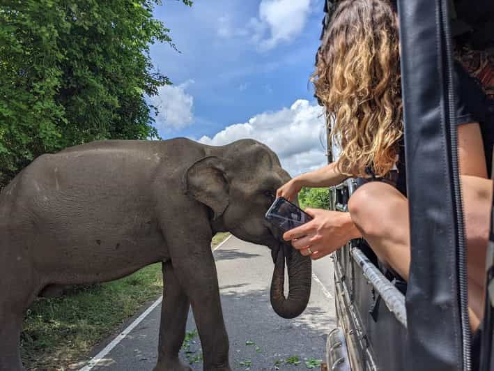 From Mirissa /Weligama /Tangalle to Yala Safari & Drop- Ella - Itinerary and Experience