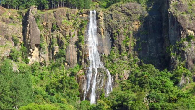 From Mirissa /Weligama /Tangalle to Yala Safari & Drop- Ella - Customer Reviews and Recommendations