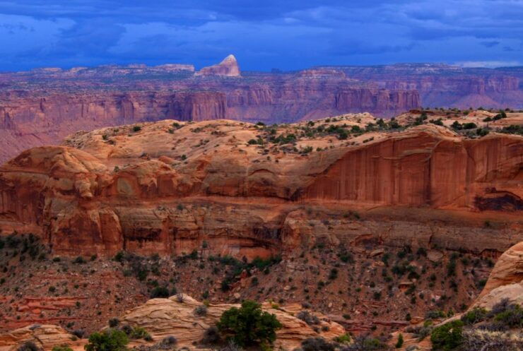 From Moab: 1-Day Horseshoe Canyon Exploration - Activity Details