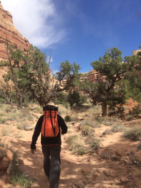 From Moab: 1-Day Horseshoe Canyon Exploration - Experience