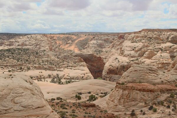 From Moab: 1-Day Horseshoe Canyon Exploration - Customer Reviews