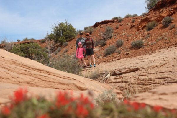 From Moab: 1-Day Horseshoe Canyon Exploration - The Sum Up