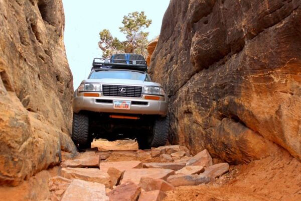 From Moab: Canyonlands Needle District 4x4 Tour - Geology, Flora, and Fauna