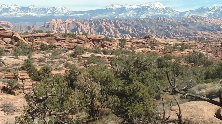 From Moab: Rock of Ages Moderate Rappelling Obstacle Course - Activity Details