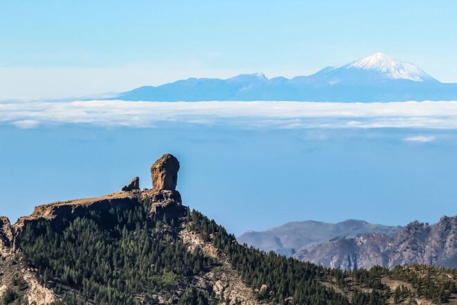 From Mogán/Maspalomas/Arguineguín: Gran Canaria Day Tour - Reviews and Feedback