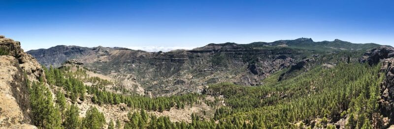 From Mogán/Maspalomas: Gran Canaria from the Heights and Incredible Views - Discovering the Interior of Gran Canaria