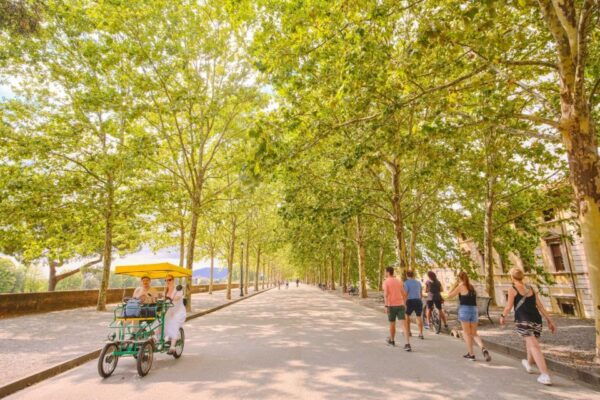 From Montecatini: Pisa & Lucca Day Full Day Tour - The Sum Up