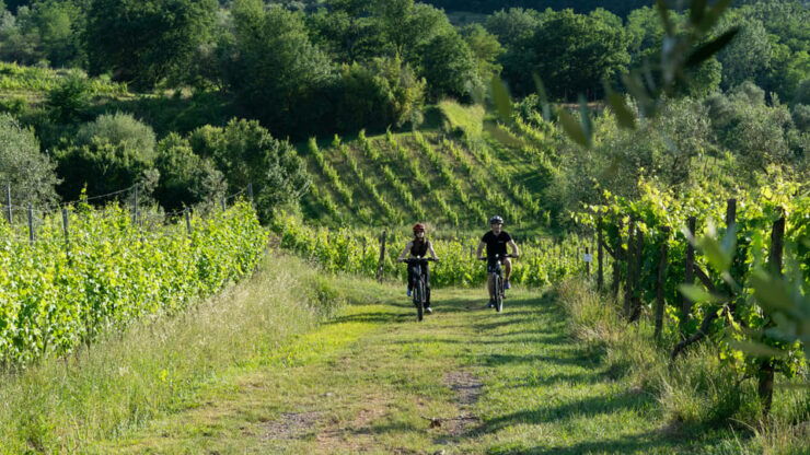 FROM MONTECATINI TERME: E-BIKE TOUR WITH WINE TASTING - Good To Know