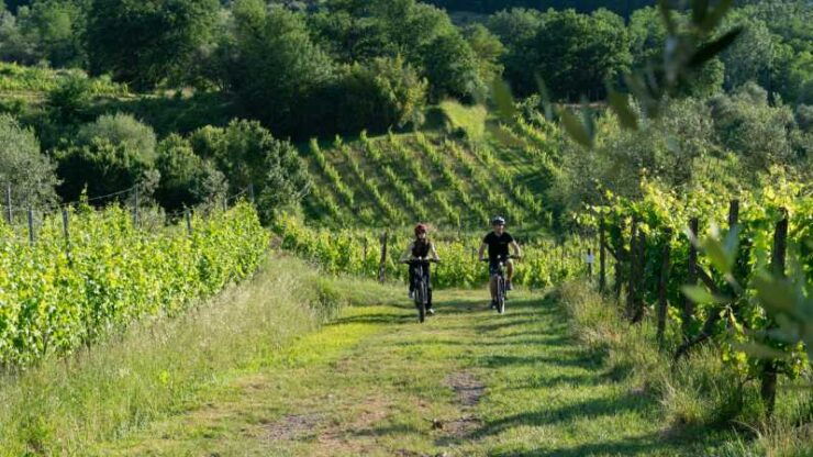 FROM MONTECATINI TERME: E-BIKE TOUR WITH WINE TASTING - Itinerary Overview