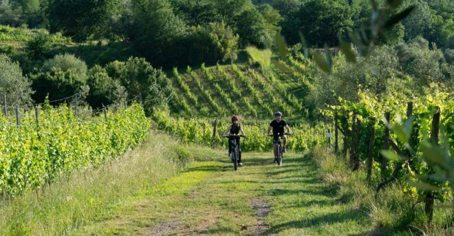 FROM MONTECATINI TERME: E-BIKE TOUR WITH WINE TASTING - Participant Guidelines