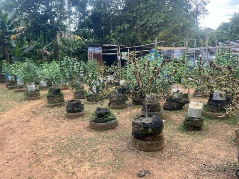 From Montego Bay: 3-Hour ATV Safari Adventure Ride - The Itinerary Breakdown: What to Expect