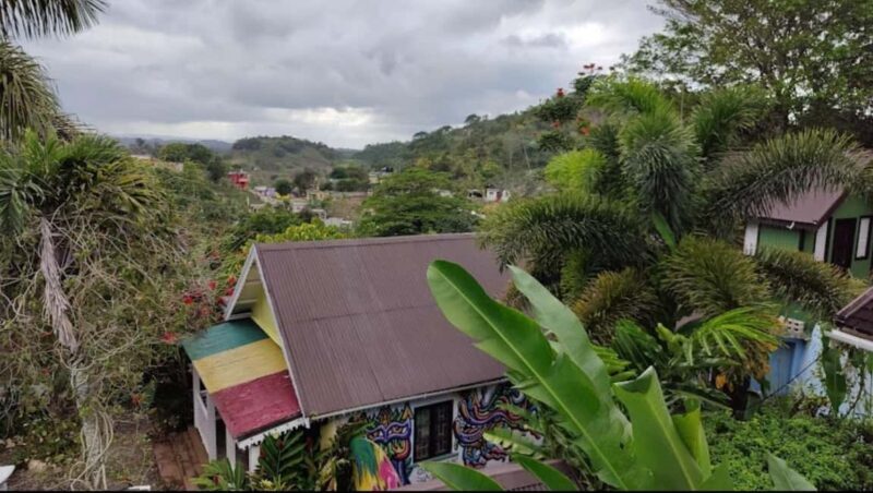 From Montego Bay: Bob Marley 9 mile & Dunns River falls tour - Final Thoughts