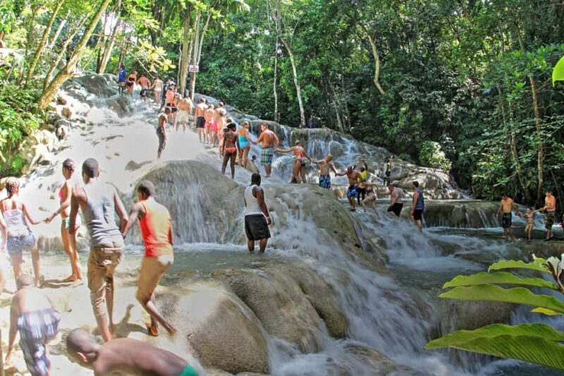 From Montego Bay: Dunns River Falls Experience - Who Will Enjoy This Tour?