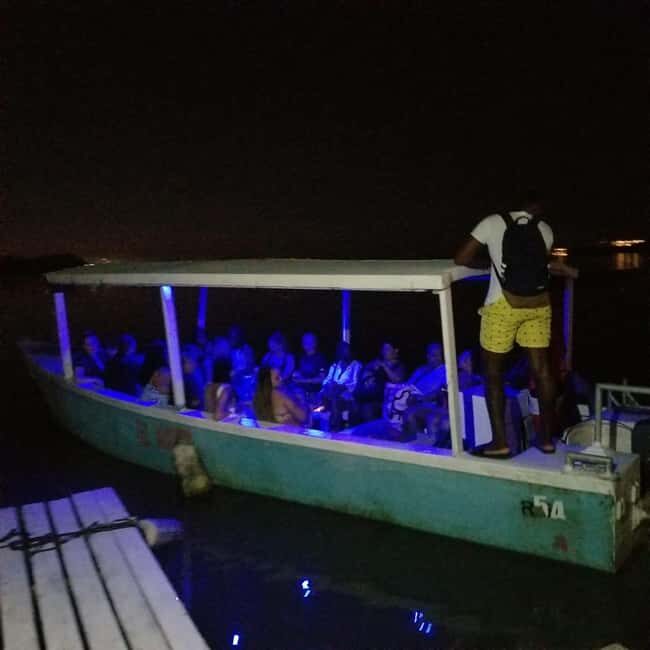 From Montego Bay: Luminous Lagoon Boat Tour with Transfer - The Sum Up