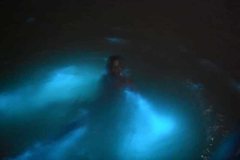 From Montego Bay: Luminous Lagoon Night Tour - Good To Know