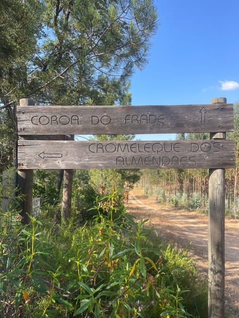 From Montemor or Évora: Guided Hike to Almendres Megalithic - Pickup Locations and Transportation