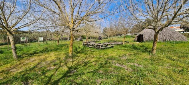 From Montemor or Évora: Guided Hike to Almendres Megalithic - Hike Details