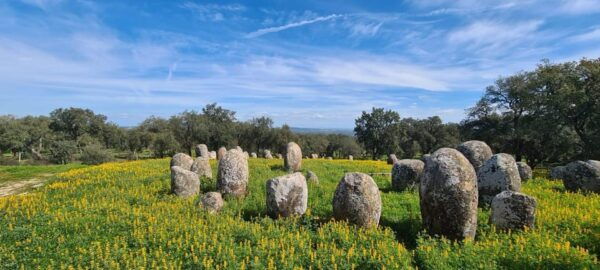 From Montemor or Évora: Guided Hike to Almendres Megalithic - Highlights of the Tour