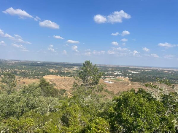 From Montemor or Évora: Guided Hike to Almendres Megalithic - Important Tour Information