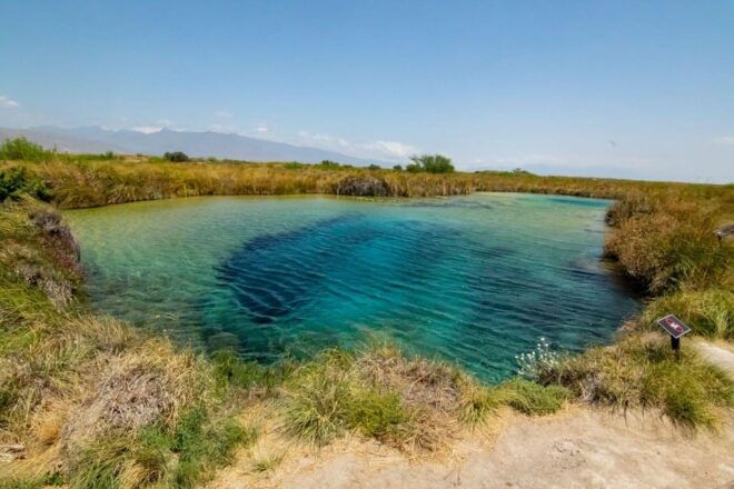 From Monterrey: One Day Tour in Cuatro Ciénegas Group 1800 - Inclusions and Exclusions