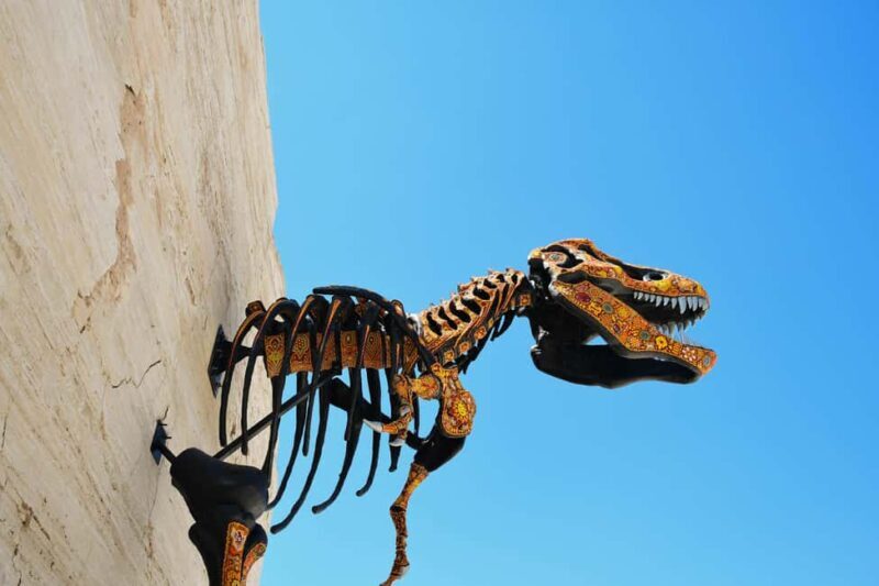 From Monterrey: Tour a Cuatro Ciénegas one day tour - FAQs  